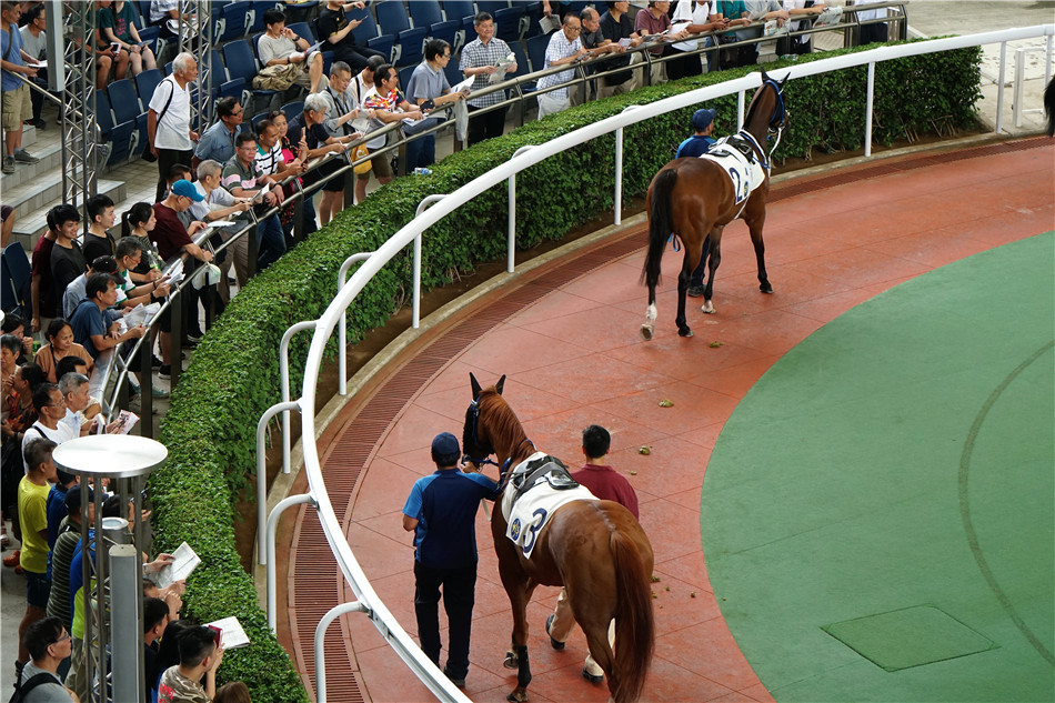 今晚揭晓，香港本期开奖结果全解析香港本期开奖结果今晚开奖记录