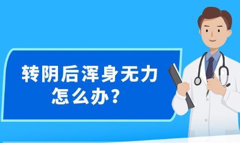 新澳精准资料，510期免费分享的背后与价值