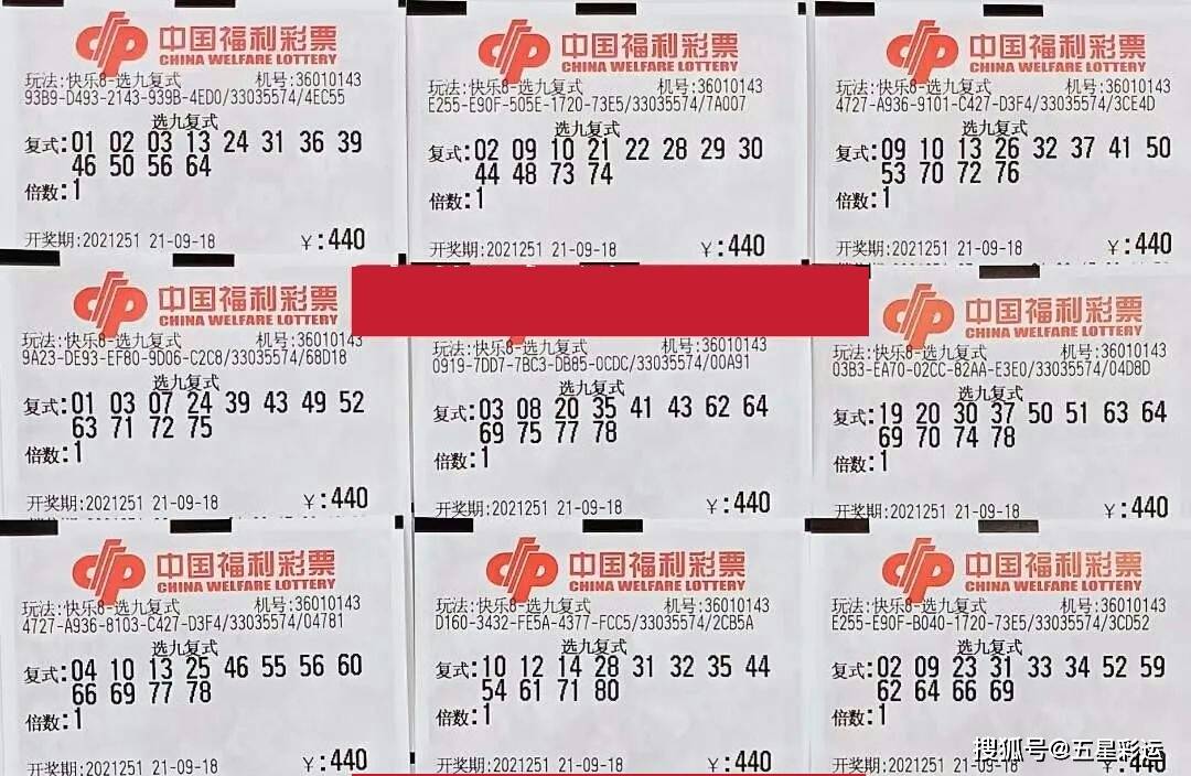 澳门六开彩近15期结果查询表，理性看待彩票，谨慎参与2025澳门开奖结果查询
