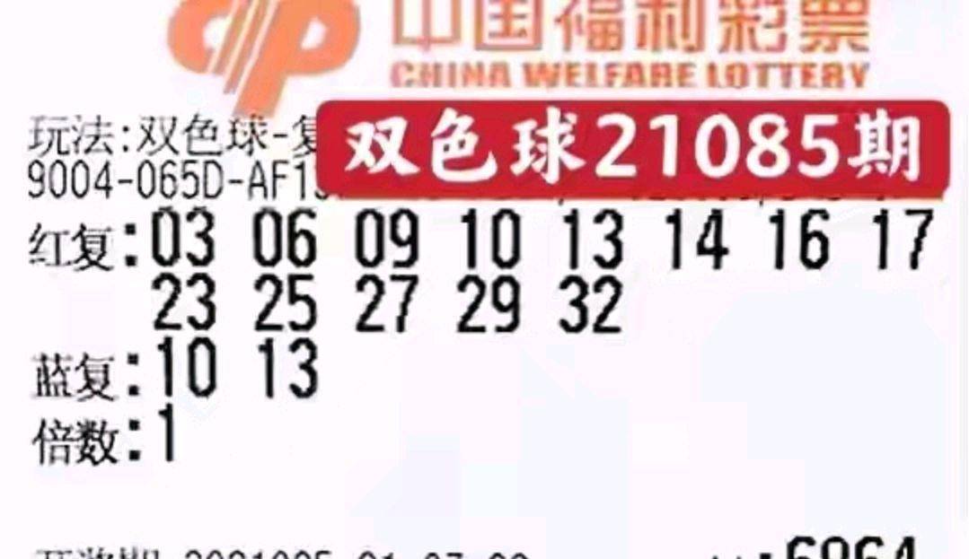 理性投注 第8页