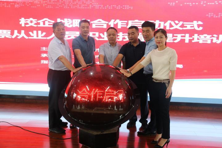 探索体彩新视界，体彩视频开奖直播与彩票频道的深度解析
