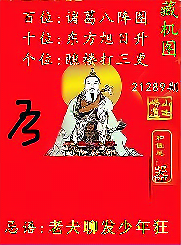 福彩天中图库藏机图，揭秘背后的奥秘与影响