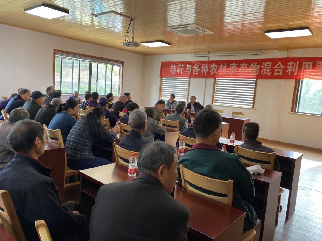 浙江风采超长版旧版走势，历史轨迹与未来展望