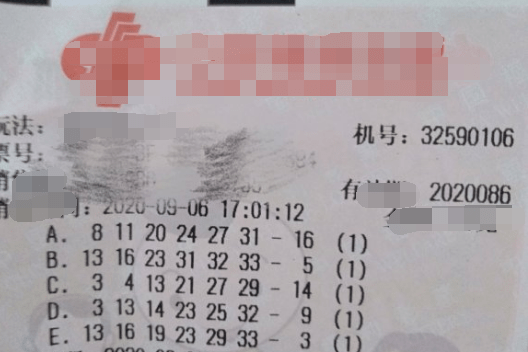 204年香港资料大全，正版免费资源指南香港资料大全正版资料2024年免费重拳出击