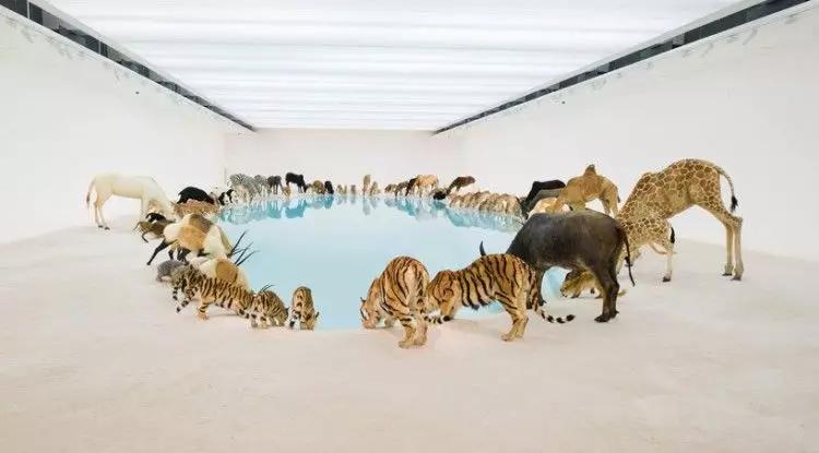 探索智慧与艺术的结晶，3D天牛图、谜画、谜字谜总汇