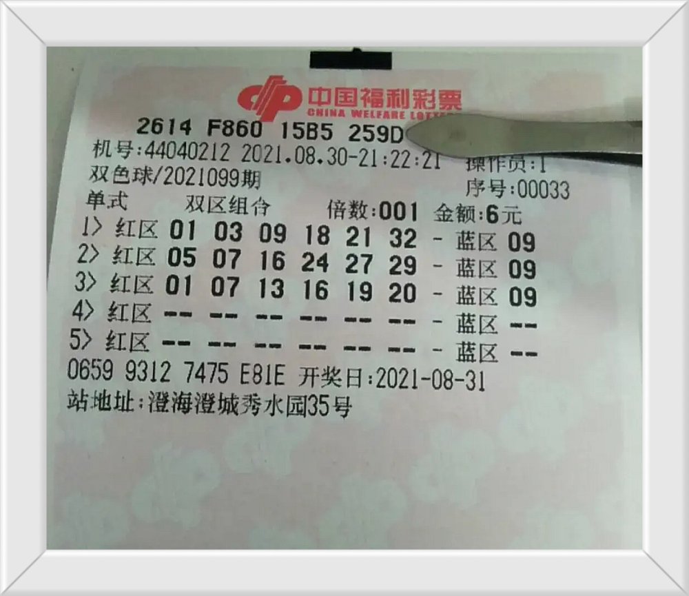 2008年双色球开奖结果表，回顾与解析