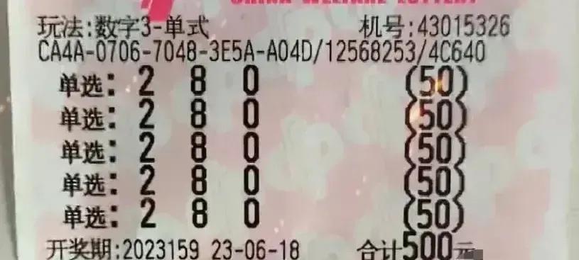 3D彩票，回顾2022006期历史开奖号，探索数字背后的故事