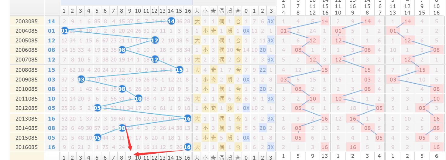 理性审视，双色球走势分析的效用与局限