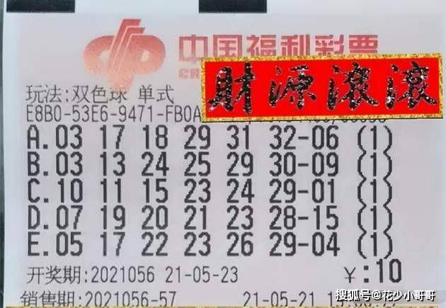 2009034期双色球开奖结果揭晓，幸运数字引领新春希望