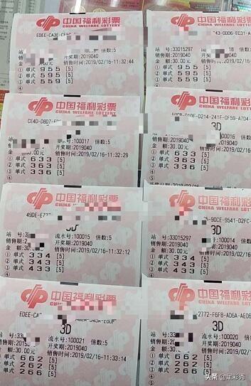 福利彩票3D，中奖背后的惊喜与期待