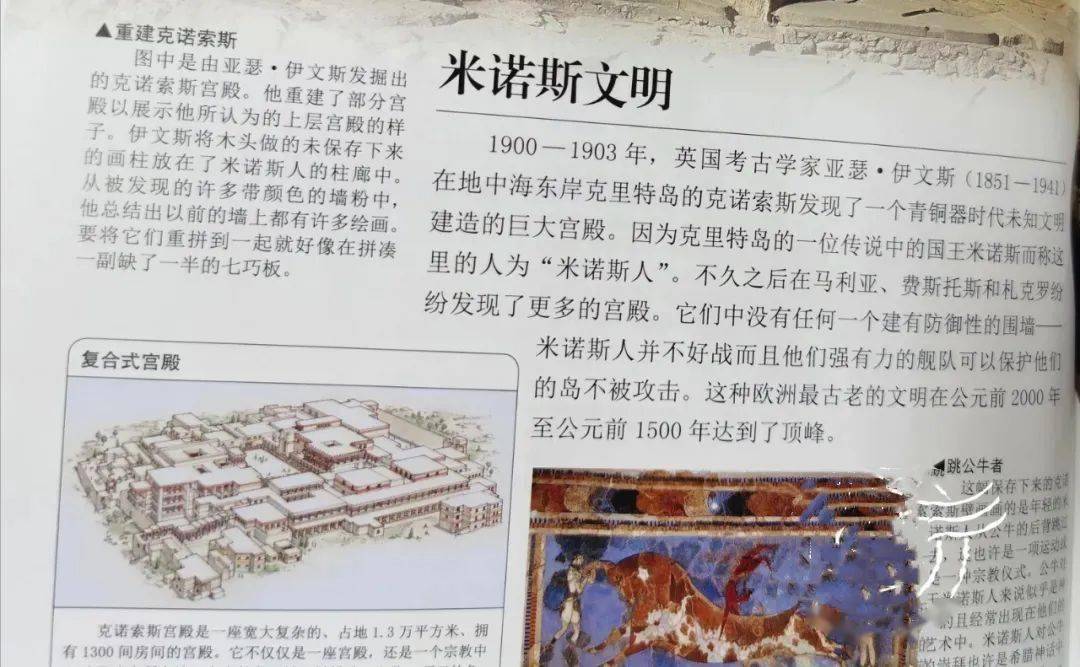 历史开奖记录，透视七星彩的奇妙之旅