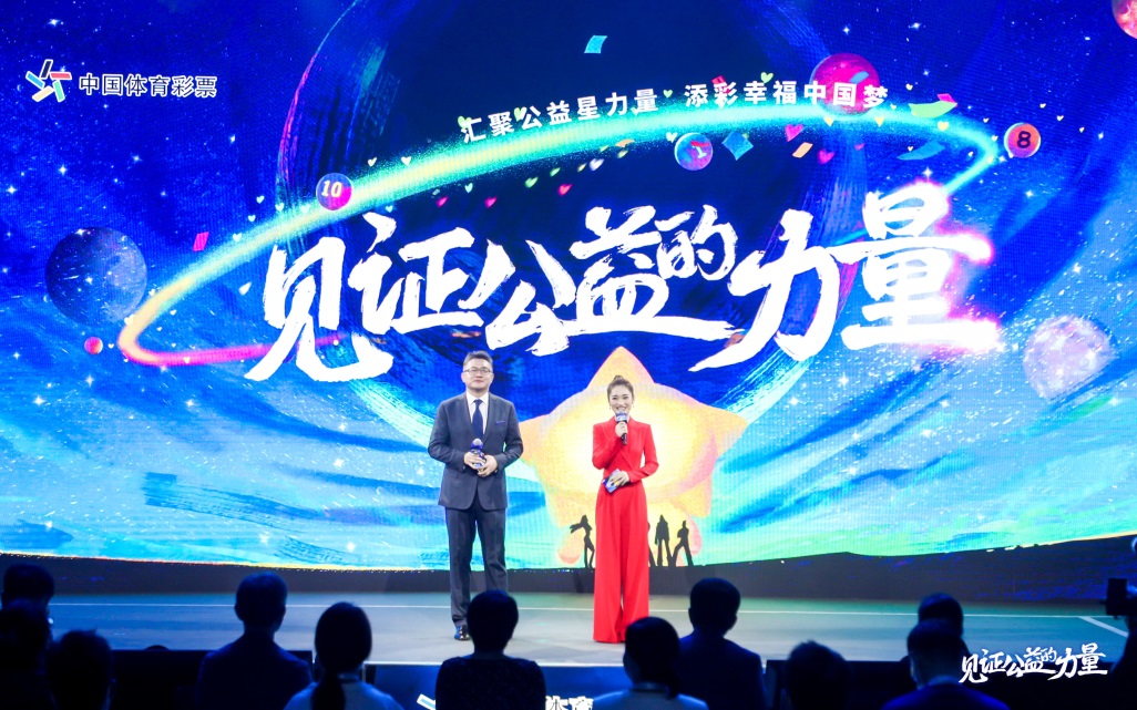 全国最大双彩网，数字游戏与公益梦想的交汇点
