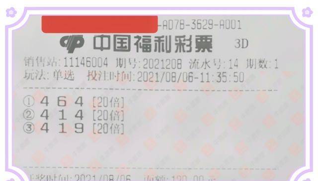 山东福利彩票双色球中奖查询结果，揭秘幸运背后的数字魔法