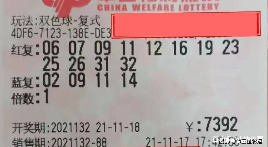 三肖必中特，理性与幸运的交织——揭开彩票投注的神秘面纱