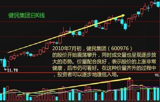 探索中财网3D试机号走势图，数字背后的奥秘与策略