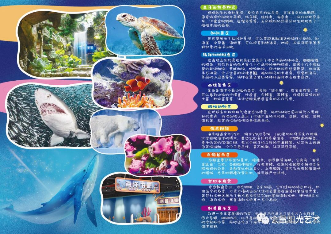 探索知识的海洋，正版资料大全的无限魅力正版资料大全完整版