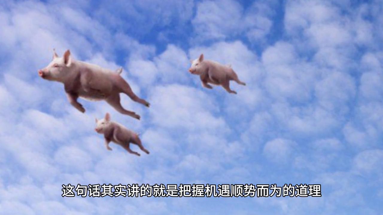 2043年澳门今晚开奖号码，揭秘彩票背后的数字游戏与心理博弈2024年澳门今晚开奖号码现场直播