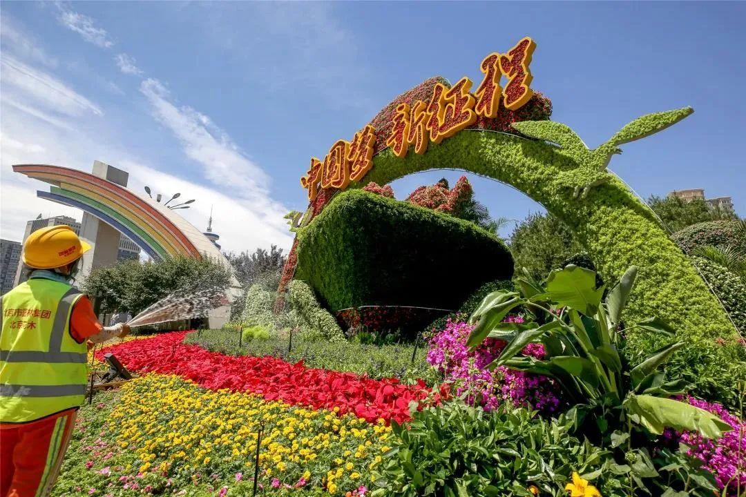 一码紧跟，期期待开—揭秘中特的奥秘一码一肖+中特