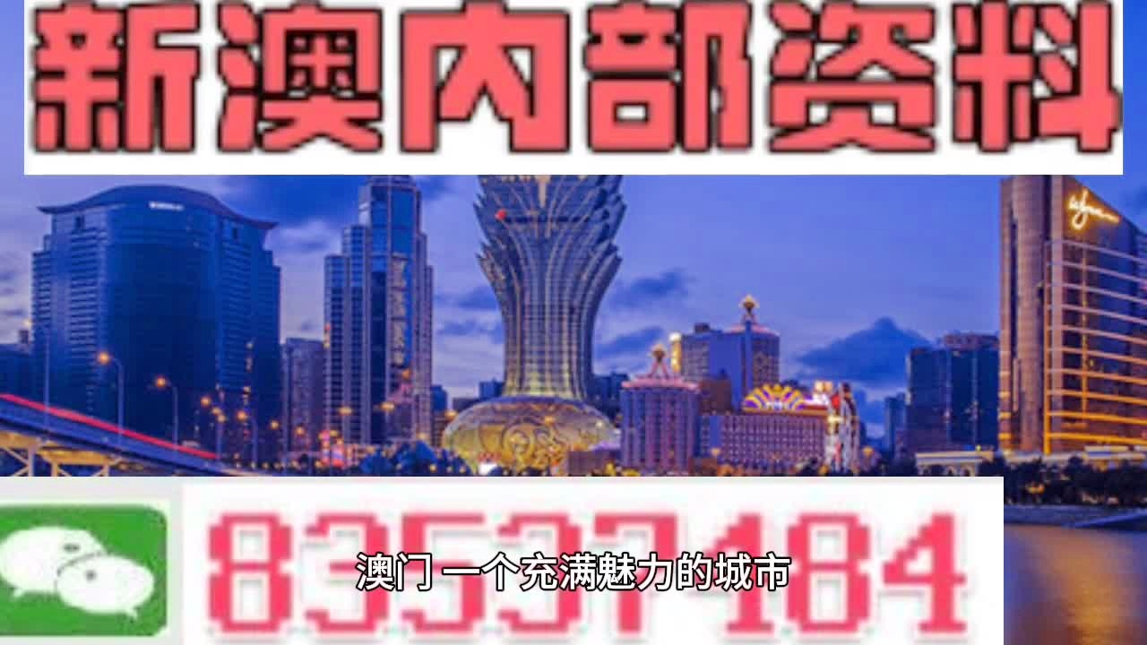 澳门最准最快的免费服务体验，从交通到娱乐的全方位指南澳门最准最快的免费的233期