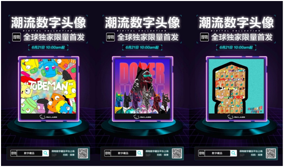 彩之网互动区，数字时代的社交新维度彩之网互动区免费资料