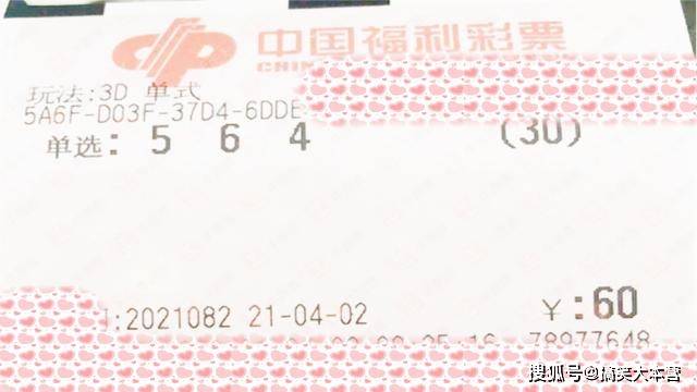 3D试机号，今日最新动态与深度解析3d试机号今天最新查询