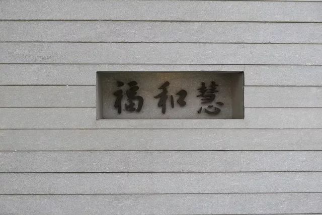 澳门四不像图正版资料大全下载，揭秘与警示澳门四不像图正版资料大全下载我要澳门的思故乡