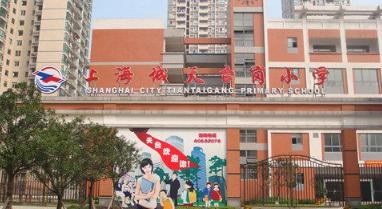 精准预测，四肖期中准的奥秘四肖期期中准一