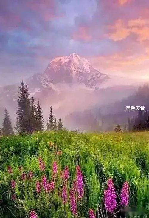 新奥彩今晚开什么号码的背后，理性看待彩票与人生选择的重要性新奥彩今晚开什么号码42243
