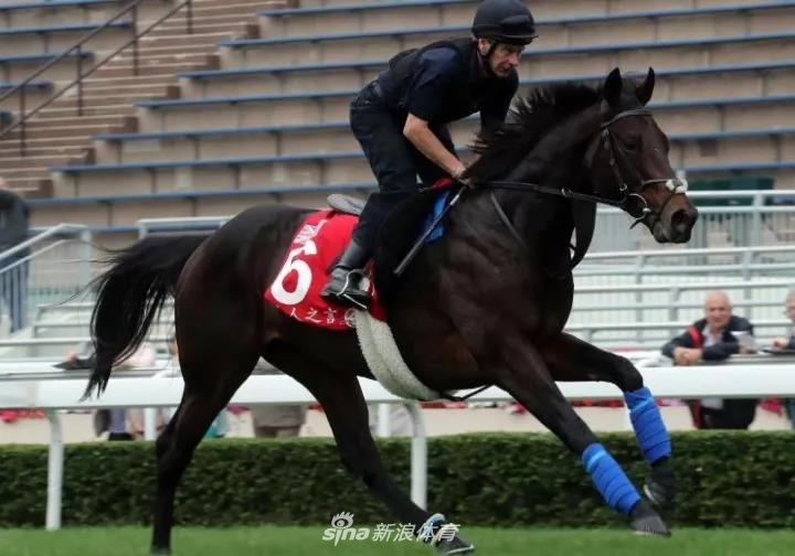 2019年香港马赛开奖记录与精彩回顾2019香港码开奖历史记录