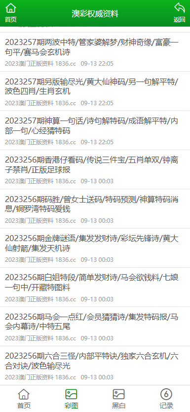 澳门资料大全，正版资料的查询与使用指南澳门资料大全正版资料查询100
