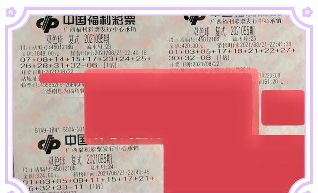 揭秘管家婆一肖的真相，理性对待彩票与娱乐