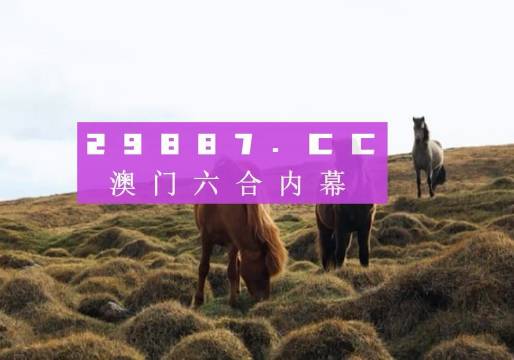 2043年，回溯澳门历史开奖记录的奇幻之旅2024澳门历史开奖记录查询资料及图片大全