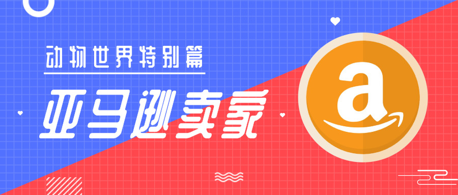 探索网络新世界，1258c在网址之家的独特魅力118网址之家l258cnn常见问题123