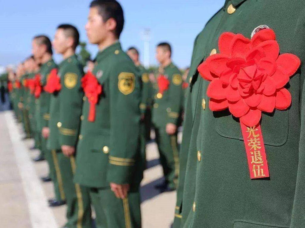探索新奥特开奖的奥秘，揭秘历史记录与未来趋势新奥特开奖结果及历史记录查询