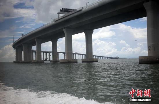 2036澳门精准正版资料大全，揭秘未来博彩业的智慧之选2023澳门精准正版资料大全免费