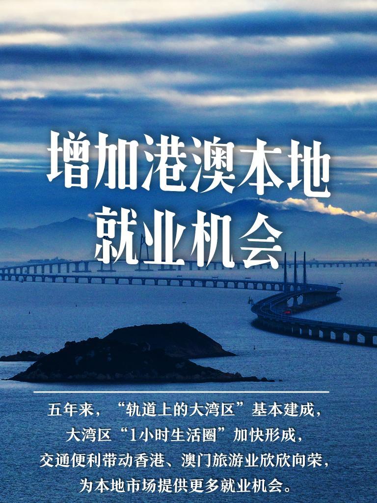 澳门新风貌，近期十五号的历史开奖回顾与展望新澳门历史开奖结果近期十五号日期是什么