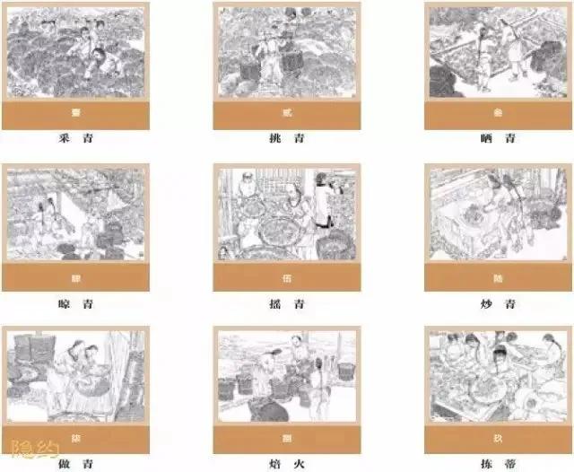 探索天牛3D图与红五图的奥秘，深度汇总解析天牛3d图红五图库汇总试机号陈华