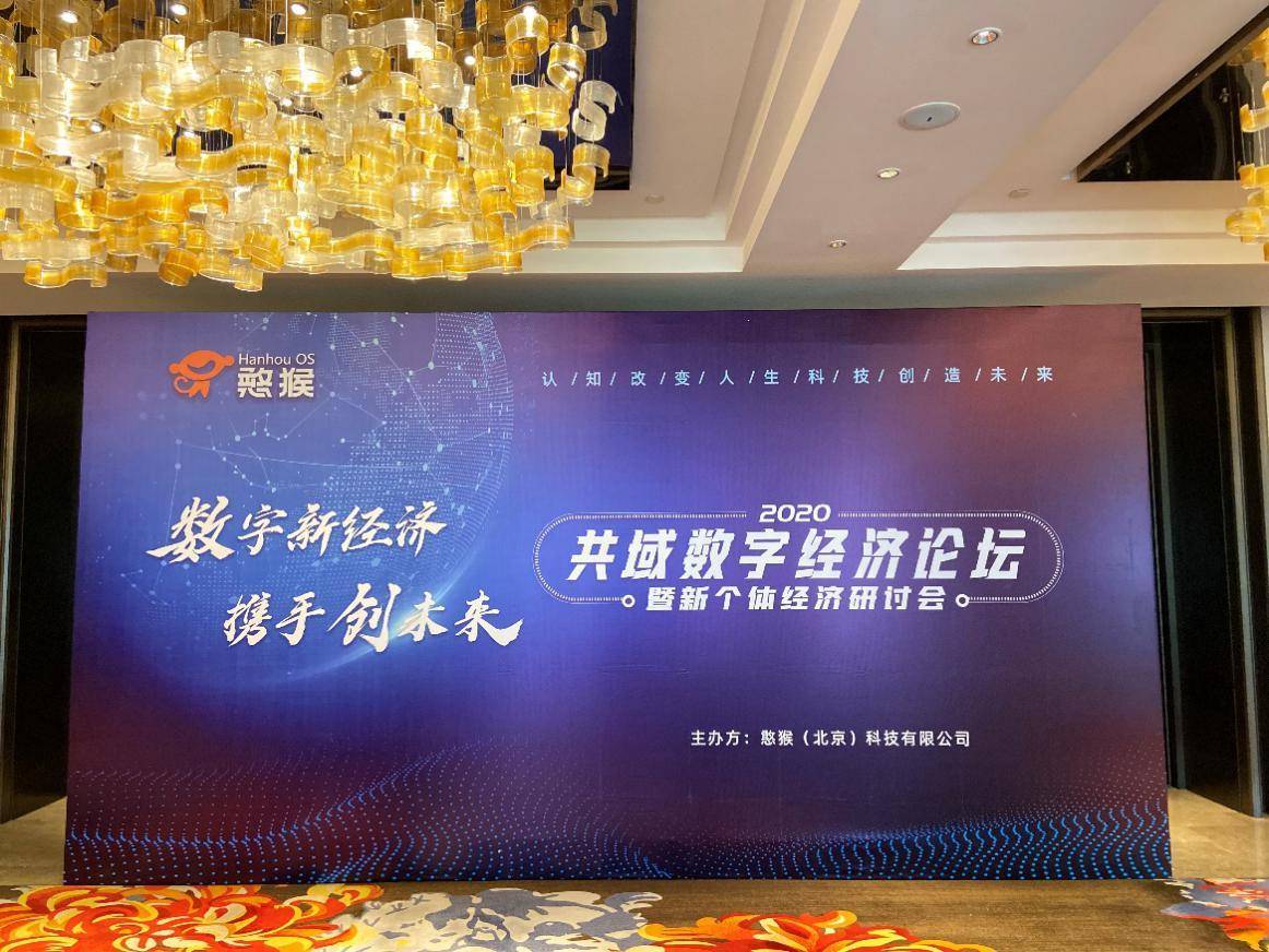 泰和在线论坛，连接智慧与激情的数字桥梁泰和在线论坛崛起