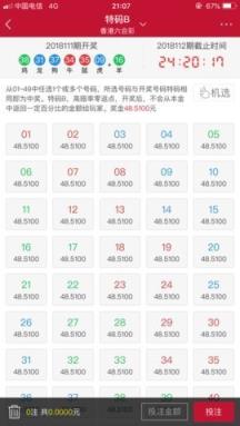 吉利平肖，解码中国彩票文化中的幸运密码吉利平肖平码论坛999