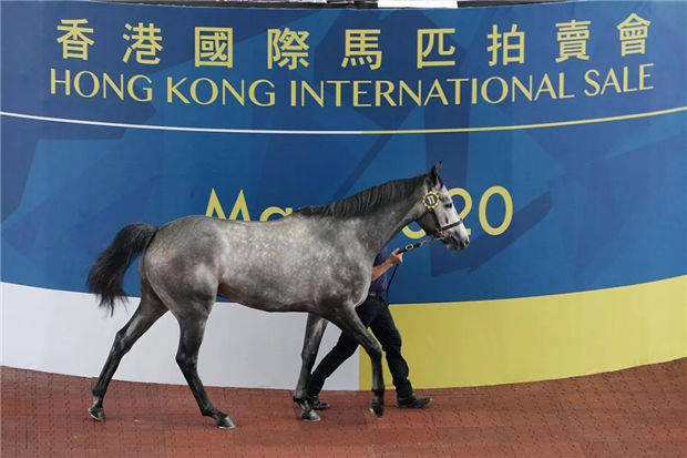 2019香港马会全年资料大全，回顾与展望香港2020马会资料