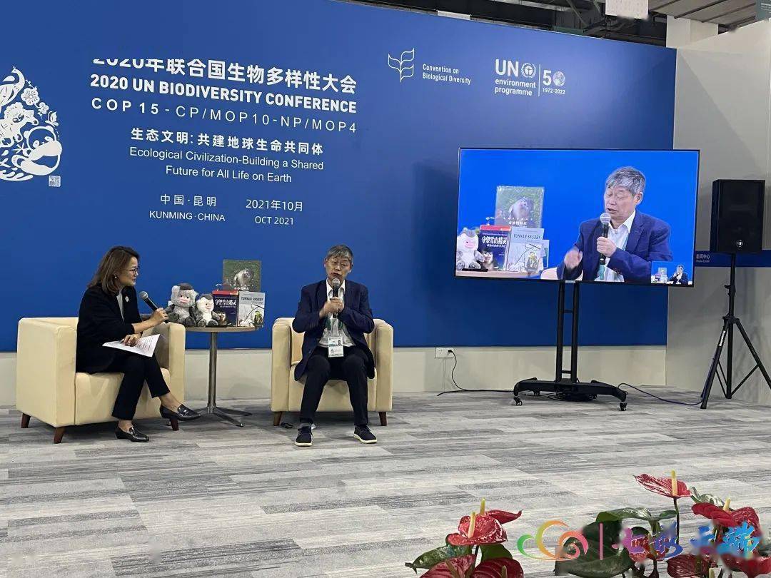 探索未来，龙都论坛的智慧与启迪龙都论坛西华县92年公安局长是谁