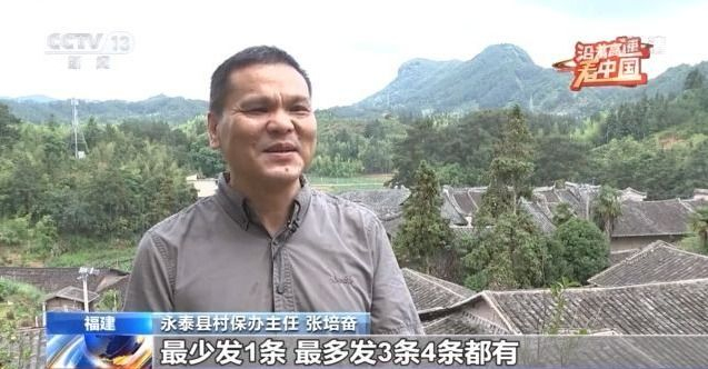 澳门今晚最快现场开奖，揭秘背后的技术与文化魅力澳门今晚最快现场开奖直潘