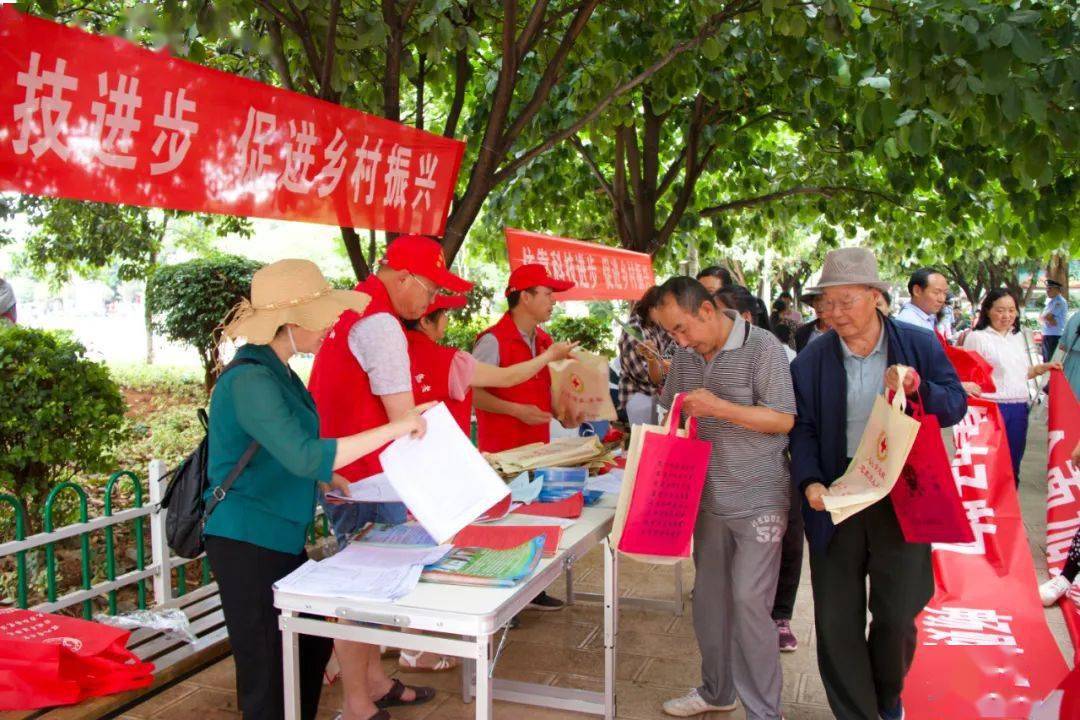 2036年澳门未来展望，科技与传统的和谐共舞2023澳门今晚开奖结果记录图表图片下载