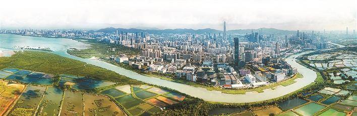 探索香港今期开奖结果，一场数字与幸运的交织香港今期开奖结果开奖记录查询表图片