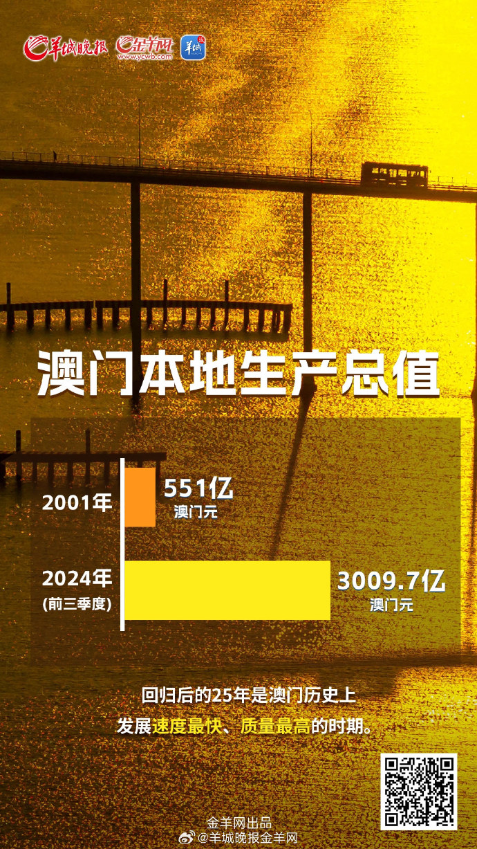 2043年，回顾与展望—澳门资料公开的数字变革2022澳门正版资料全年免费公开,澳门正