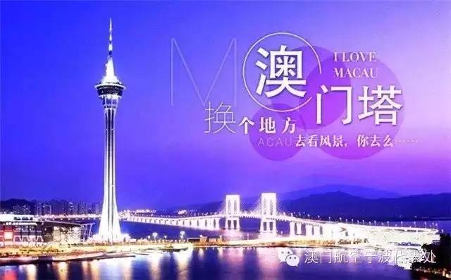 2046年新澳门天天开彩，免费查询的背后与风险考量2025新澳门天天免费精准