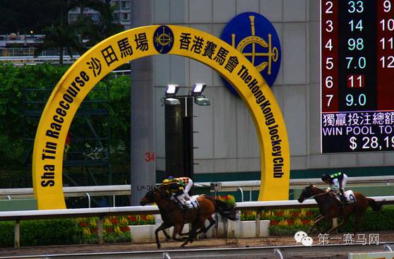 2019年香港马会资料大全，探索赛马的魅力与慈善的足迹