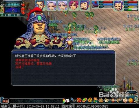 彩虹岛，公开号背后的梦幻与现实交织彩虹岛公开号怎么开