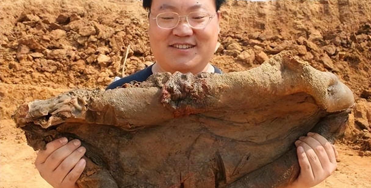 今晚9点30，揭秘生肖之谜今晚9点30开什么生肖最准的
