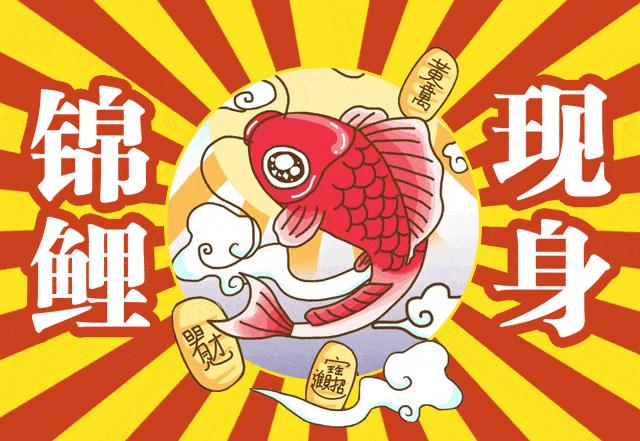 探秘香港6合开奖结果，最新消息与直播吧今日揭晓香港6合开奖号码